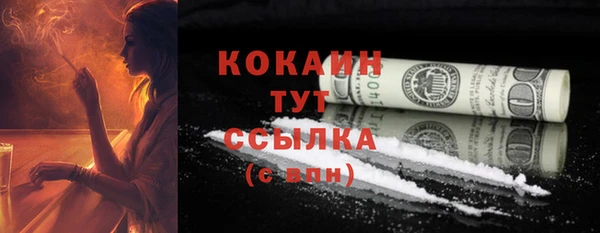 амф Бородино