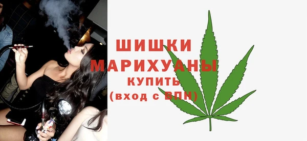 амф Бородино
