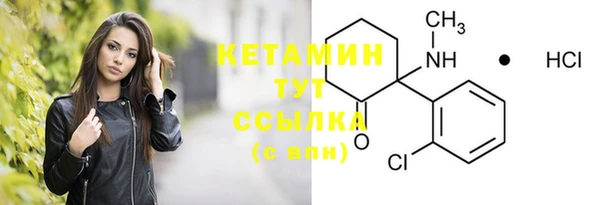 амф Бородино