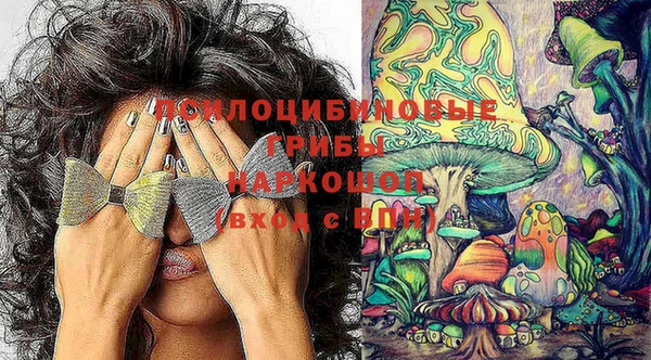 амф Бородино