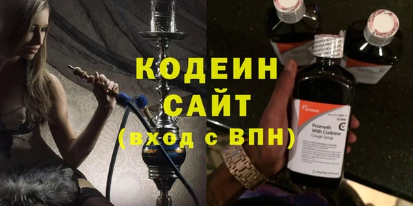 амф Бородино